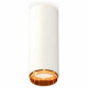 Потолочный светильник Ambrella Light Techno Spot XS6342005 (C6342, N6124)