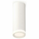 Потолочный светильник Ambrella Light Techno Spot XS6342040 (C6342, N6220)