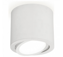 Накладной поворотный светильник Ambrella Light Techno XS7401001 (C7401, N7001)