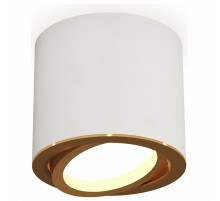 Накладной поворотный светильник Ambrella Light Techno XS7401004 (C7401, N7004)
