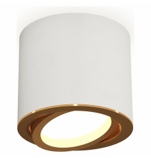 Накладной поворотный светильник Ambrella Light Techno XS7401004 (C7401, N7004)