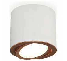 Накладной поворотный светильник Ambrella Light Techno XS7401005 (C7401, N7005)