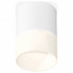 Потолочный светильник Ambrella Light Techno Spot XS7401045 (C7401, N7170)