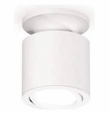 Накладной поворотный светильник Ambrella Light Techno XS7401061 (N7925, C7401, N7001)