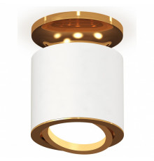 Накладной поворотный светильник Ambrella Light Techno XS7401120 (N7929, C7401, N7004)