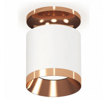 Накладной светильник Ambrella Light Techno XS7401141 (N7930, C7401, N7035)