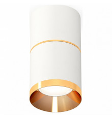 Потолочный светильник Ambrella Light Techno Spot XS7401201 (C7401, A2072, C7401, N7034)