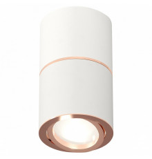 Потолочный светильник Ambrella Light Techno Spot XS7401220 (C7401, A2073, C7401, N7005)