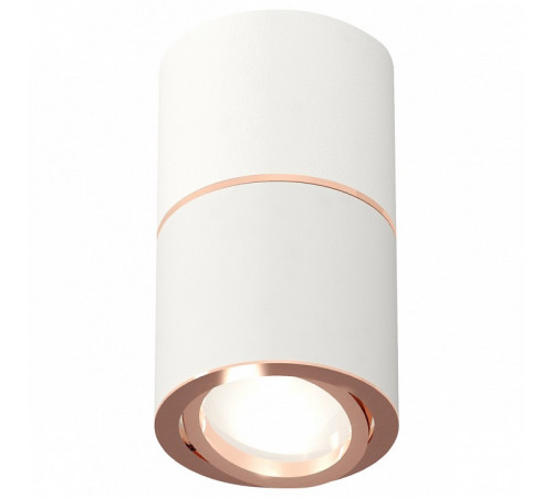 Потолочный светильник Ambrella Light Techno Spot XS7401220 (C7401, A2073, C7401, N7005) Потолочный светильник Ambrella Light Techno Spot XS7401220 (C7401, A2073, C7401, N7005)