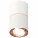 Потолочный светильник Ambrella Light Techno Spot XS7401220 (C7401, A2073, C7401, N7005)