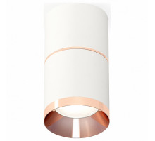 Потолочный светильник Ambrella Light Techno Spot XS7401221 (C7401, A2073, C7401, N7035)