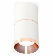 Потолочный светильник Ambrella Light Techno Spot XS7401221 (C7401, A2073, C7401, N7035)