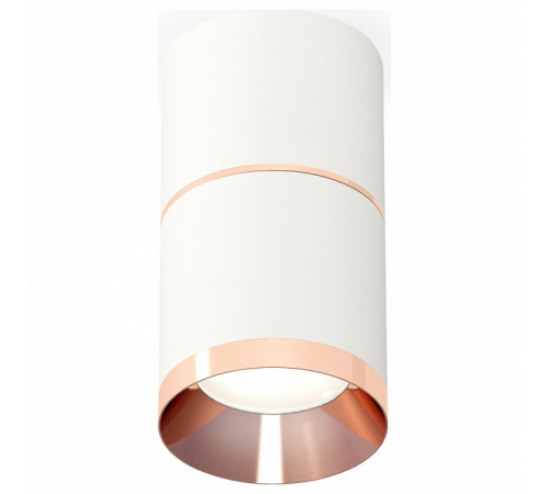 Потолочный светильник Ambrella Light Techno Spot XS7401221 (C7401, A2073, C7401, N7035) Потолочный светильник Ambrella Light Techno Spot XS7401221 (C7401, A2073, C7401, N7035)