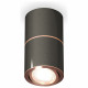 Потолочный светильник Ambrella Light Techno Spot XS7403100 (C7403, A2073, C7403, N7005)