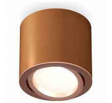 Потолочный светильник Ambrella Light Techno Spot XS7404002 (C7404, N7005)