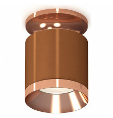 Потолочный светильник Ambrella Light Techno Spot XS7404141 (N7930, C7404, N7035)