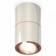 Потолочный светильник Ambrella Light Techno Spot XS7405080 (C7405, A2072, C7405, N7195)