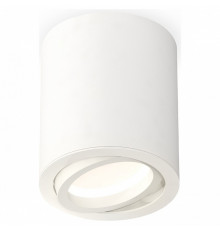 Потолочный светильник Ambrella Light Techno Spot XS7421001 (C7421, N7001)
