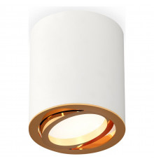 Потолочный светильник Ambrella Light Techno Spot XS7421003 (C7421, N7004)
