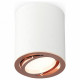 Потолочный светильник Ambrella Light Techno Spot XS7421004 (C7421, N7005)