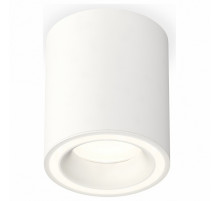 Потолочный светильник Ambrella Light Techno Spot XS7421020 (C7421, N7110)