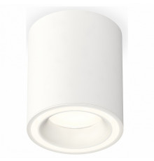 Потолочный светильник Ambrella Light Techno Spot XS7421020 (C7421, N7110)