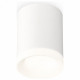 Потолочный светильник Ambrella Light Techno Spot XS7421024 (C7421, N7165)
