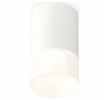 Потолочный светильник Ambrella Light Techno Spot XS7421025 (C7421, N7170)