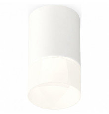 Потолочный светильник Ambrella Light Techno Spot XS7421025 (C7421, N7170)