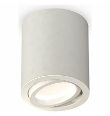 Потолочный светильник Ambrella Light Techno Spot XS7423020 (C7423, N7001)