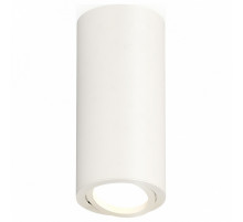 Накладной поворотный светильник Ambrella Light Techno XS7442001 (C7442, N7001)