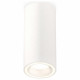 Потолочный светильник Ambrella Light Techno Spot XS7442011 (C7442, N7110)