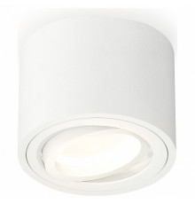 Потолочный светильник Ambrella Light Techno Spot XS7510001 (C7510, N7001)