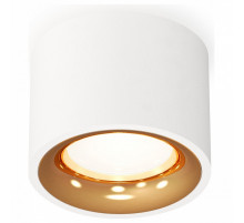 Потолочный светильник Ambrella Light Techno Spot XS7510024 (C7510, N7014)