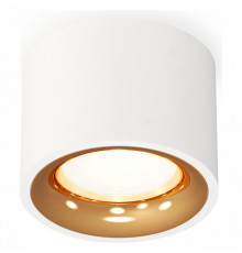 Потолочный светильник Ambrella Light Techno Spot XS7510024 (C7510, N7014)