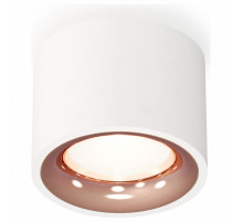 Потолочный светильник Ambrella Light Techno Spot XS7510025 (C7510, N7015)