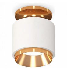 Потолочный светильник Ambrella Light Techno Spot XS7510120 (N7929, C7510, N7034)