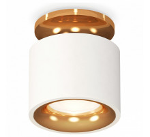Потолочный светильник Ambrella Light Techno Spot XS7510121 (N7929, C7510, N7014)