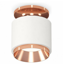Потолочный светильник Ambrella Light Techno Spot XS7510140 (N7930, C7510, N7035)