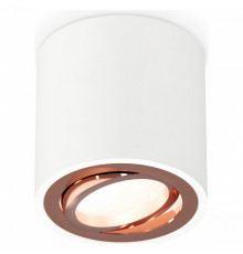 Потолочный светильник Ambrella Light Techno Spot XS7531005 (C7531, N7005)