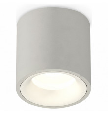 Потолочный светильник Ambrella Light Techno Spot XS7533020 (C7533, N7010)
