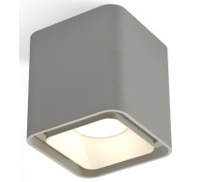 Накладной светильник Ambrella Light Techno XS7842001 (C7842, N7701)