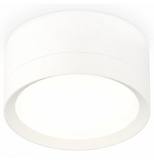 Потолочный светильник Ambrella Light Techno Spot XS8101001 (C8101, N8112)