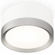 Потолочный светильник Ambrella Light Techno Spot XS8101004 (C8101, N8121)