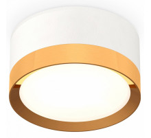 Потолочный светильник Ambrella Light Techno Spot XS8101005 (C8101, N8124)