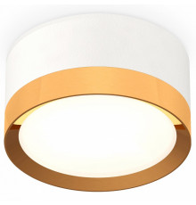Потолочный светильник Ambrella Light Techno Spot XS8101005 (C8101, N8124)