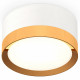 Потолочный светильник Ambrella Light Techno Spot XS8101005 (C8101, N8124)