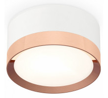Потолочный светильник Ambrella Light Techno Spot XS8101006 (C8101, N8126)