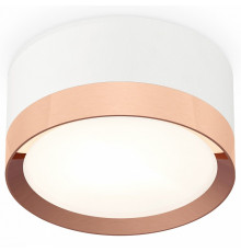 Потолочный светильник Ambrella Light Techno Spot XS8101006 (C8101, N8126)