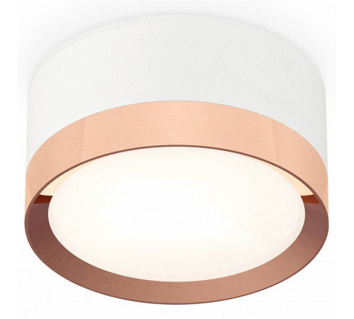 Потолочный светильник Ambrella Light Techno Spot XS8101006 (C8101, N8126)